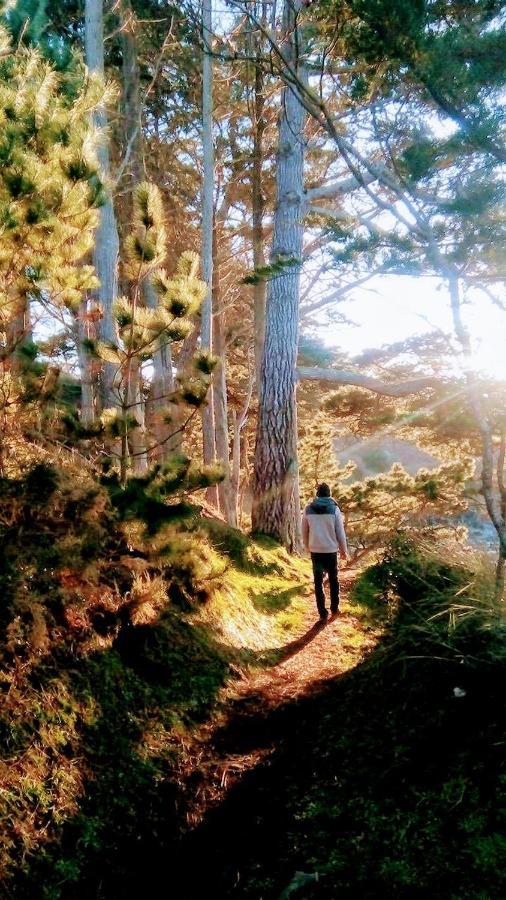 Les Hortensias Grande Tente Familiale Deux Chambres Et Sejour Vue Mer Sur Camping Nature Plestin-les-Grèves 외부 사진